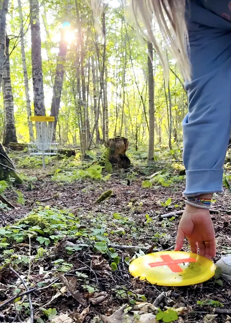 Diskgolfbane i skogen